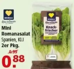 Multi Markt EDEKA Mini Romanasalat Angebot
