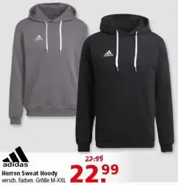Multi Markt adidas Herren Sweat Hoody Angebot