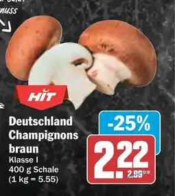 HIT Deutschland Champignons braun Angebot