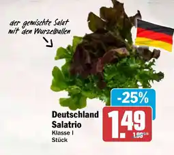 HIT Deutschland Salatrio Angebot