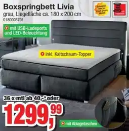 Möbelfundgrube Boxspringbett Livia Angebot