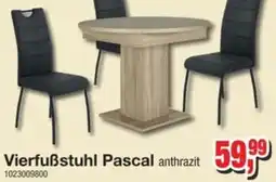 Möbelfundgrube Vierfuẞstuhl Pascal Angebot