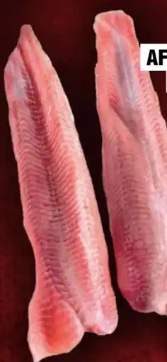 Handelshof Welsfilet Welshybrid Angebot