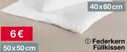 Woolworth Federkern Füllkissen Angebot