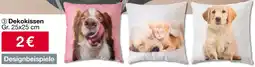 Woolworth Dekokissen Angebot