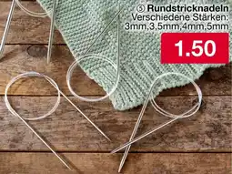 Woolworth Rundstricknadeln Angebot