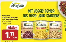 Combi Bonduelle kidney bohnen Angebot