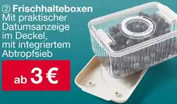 Woolworth Frischhaltebox Angebot