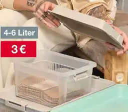 Woolworth Aufbewahrungsbox Angebot