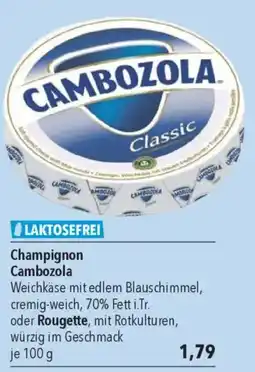 CITTI Markt Champignon Cambozola Angebot