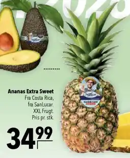 CITTI Markt SanLucar Ananas Extra Sweet Angebot