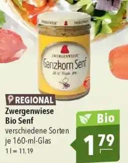 CITTI Markt Zwergenwiese Bio Senf Angebot