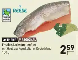 CITTI Markt Frisches Lachsforellenfilet Angebot