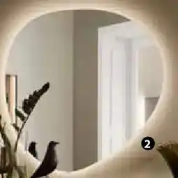 Zurbrüggen Spiegel Angebot