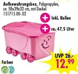 Möbel Boss Aufbewahrungsbox Angebot