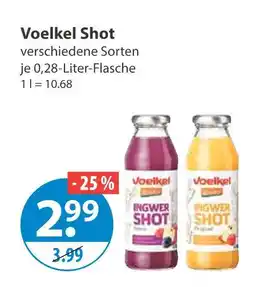 V Markt Voelkel ingwer shot Angebot