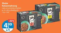 V Markt Sheba katzennahrung Angebot