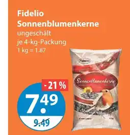 V Markt Fidelio sonnenblumenkerne Angebot