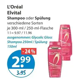 V Markt L’oréal elvital shampoo Angebot