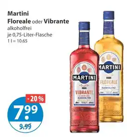 V Markt Martini floreale Angebot
