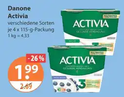 V Markt Danone activia Angebot
