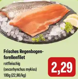 Feneberg Frisches Regenbogenforellenfilet Angebot