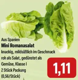 Feneberg Mini Romanasalat Angebot