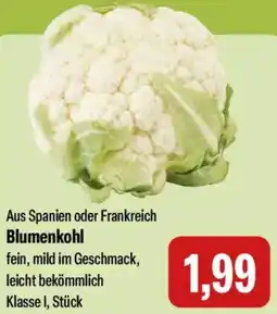 Feneberg Blumenkohl Angebot