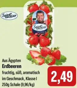 Feneberg SanLucar Erdbeeren Angebot