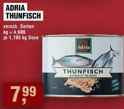 Handelshof Adria thunfisch Angebot