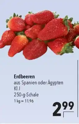 CITTI Markt Erdbeeren Angebot
