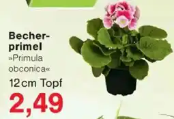 Jawoll Becherprimel Angebot