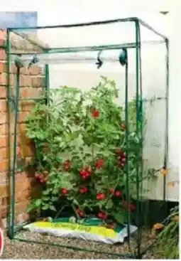 Jawoll Gewächshaus Angebot