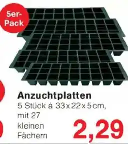 Jawoll Anzuchtplatten 5er- Pack Angebot