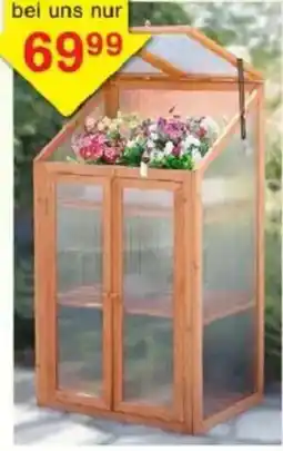 Jawoll Holz- Gewächshaus Angebot