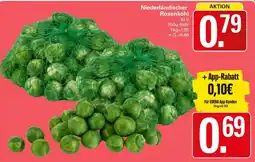 WEZ Niederländischer Rosenkohl Angebot