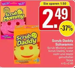 WEZ Scrub Daddy Schwamm Angebot