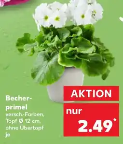 Kaufland Becherprimel Angebot