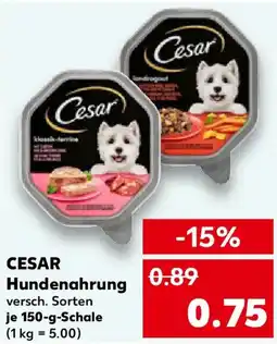 Kaufland CESAR Hundenahrung Angebot