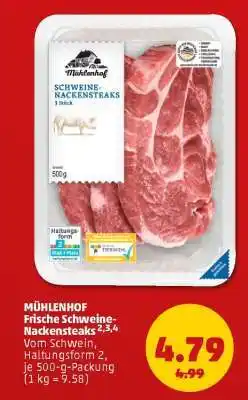 PENNY MÜHLENHOF Frische Schweine-Nackensteaks Angebot