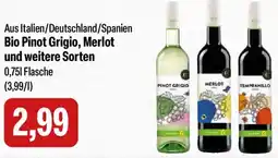 Feneberg Bio Pinot Grigio, Merlot Angebot