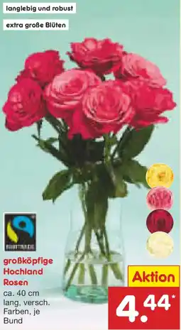 Netto Marken-Discount großköpfige Hochland Rosen Angebot