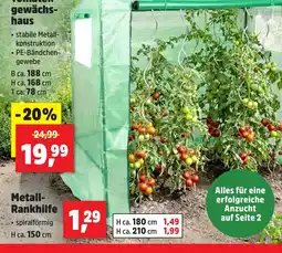 Thomas Philipps Metall- Rankhilfe Angebot