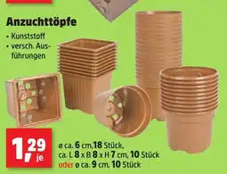 Thomas Philipps Anzuchttöpfe Angebot