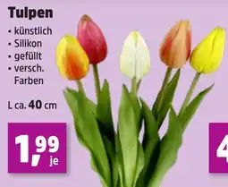 Thomas Philipps Tulpen Angebot