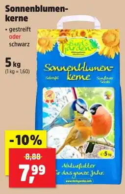 Thomas Philipps Sonnenblumenkerne Angebot