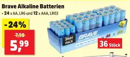 Thomas Philipps Brave Alkaline Batterien Angebot