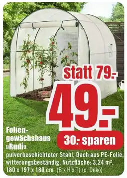 B1 Discount Baumarkt Folien- gewächshaus »Rudi«< Angebot