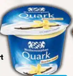 AEZ Greco Griechischer Sahnejoghurt oder Schafjoghurt Angebot