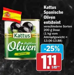 AEZ Kattus Spanische Oliven entsteint Angebot